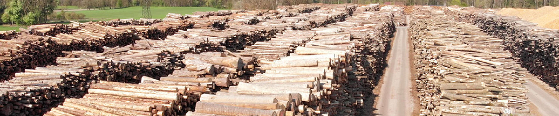 Industria madera
