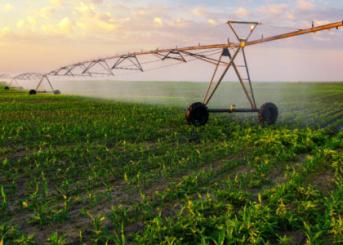 Industria del agro